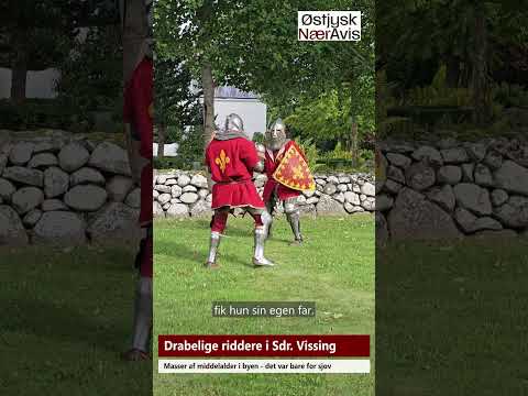 Preview image for the video "Middelaldertræf i Sdr. Vissing".