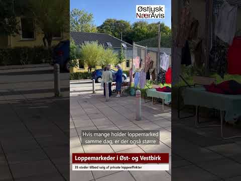 Preview image for the video "Loppemarked i Øst- og Vestbirk".