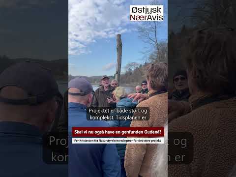 Preview image for the video "Skal vi nu også have en genfunden Gudenå?".