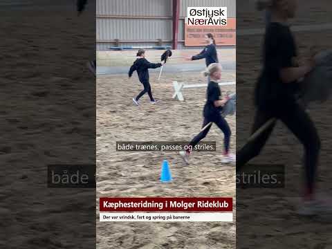 Preview image for the video "Kæphesteridning i Molger Rideklub".