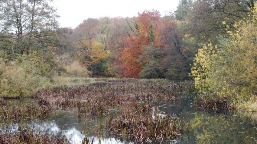 Debat: Åløb og søer