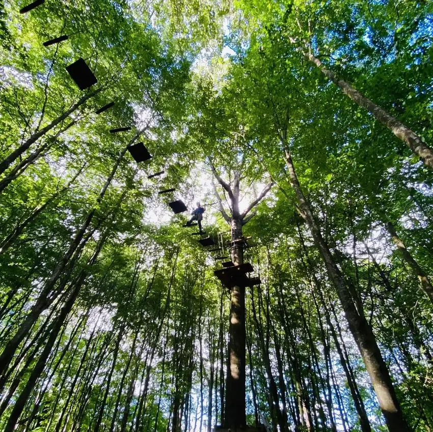 Tivoli Friheden præsenterer Danmarks første klatrepark i en forlystelsespark