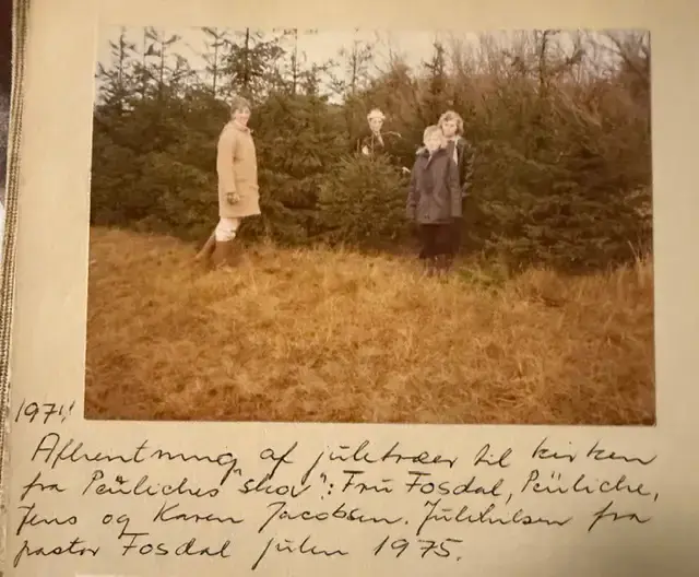 Juletræer i Østbirk