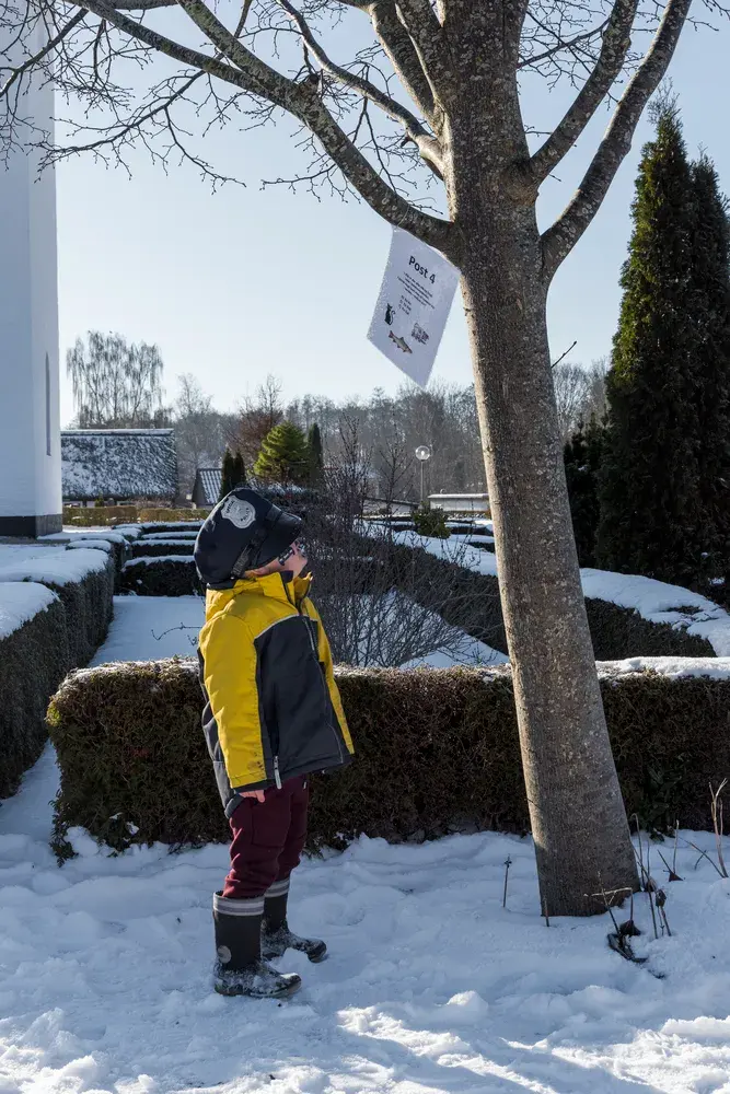 Hvid fastelavn i Søvind