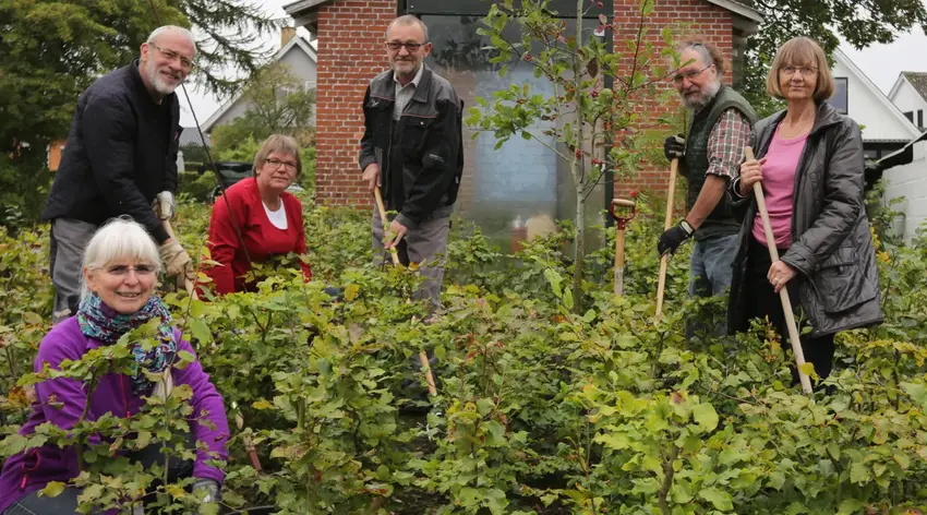 Pensionister i Lundum luger ukrudt