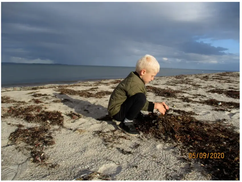 Debat: Victor og jeg vælger naturen