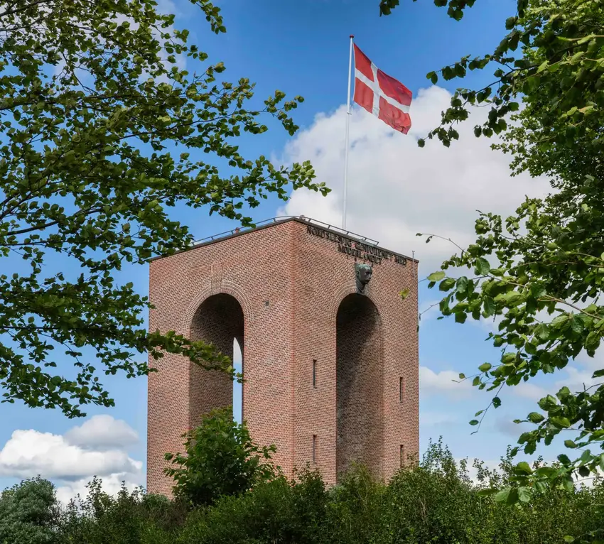 Ejer Bavnehøj tårnet