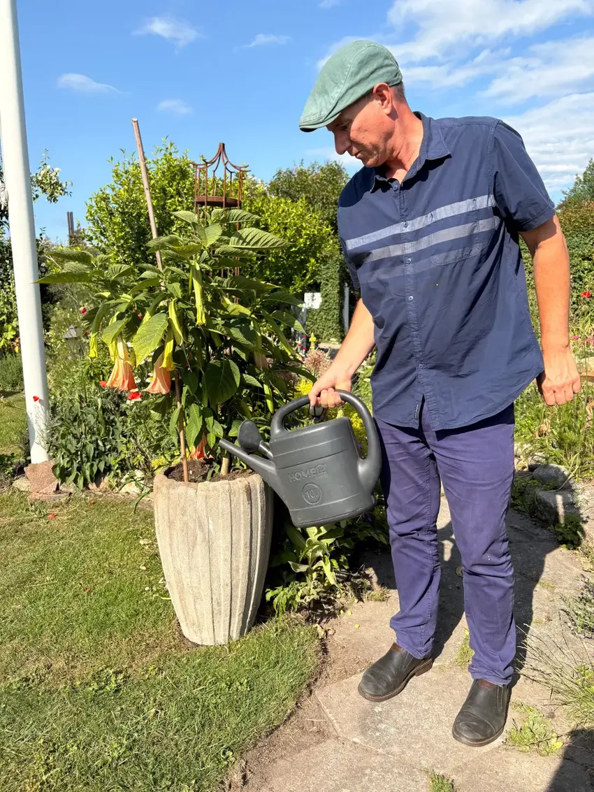 Mand vander planter