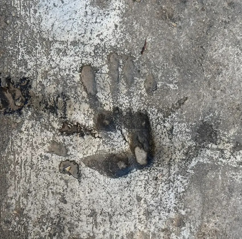 Aftryk Kunst Søvind 