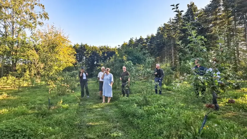 Landsbyråd
