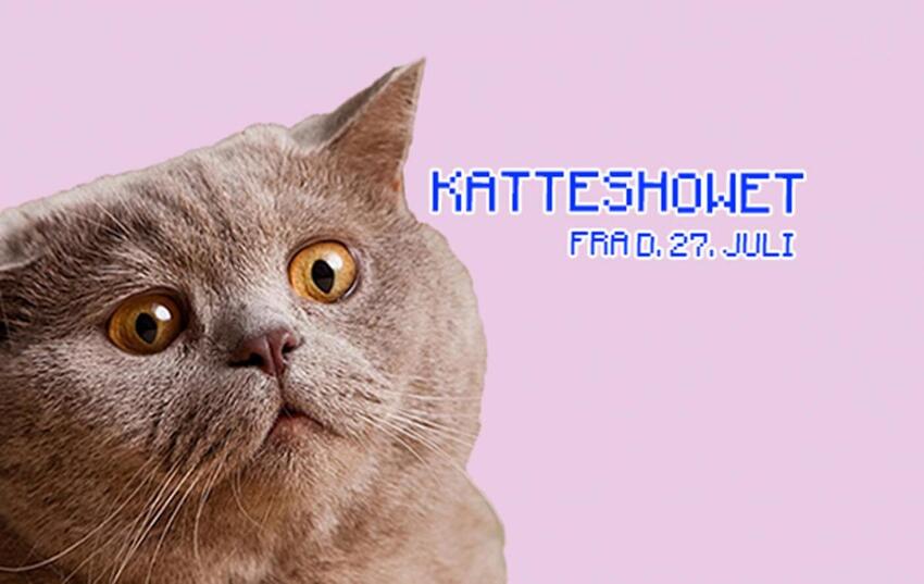 Kattene kommer!