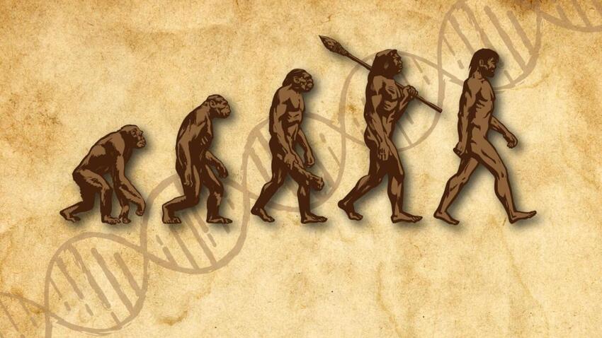 Livestreaming: Tilblivelsen af det moderne menneske