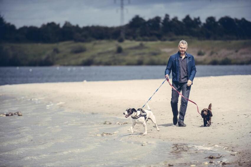 Fra 1. april skal strandhunden snørres