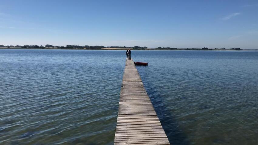 Bliv klogere på, hvad du kan opleve omkring Horsens Fjord