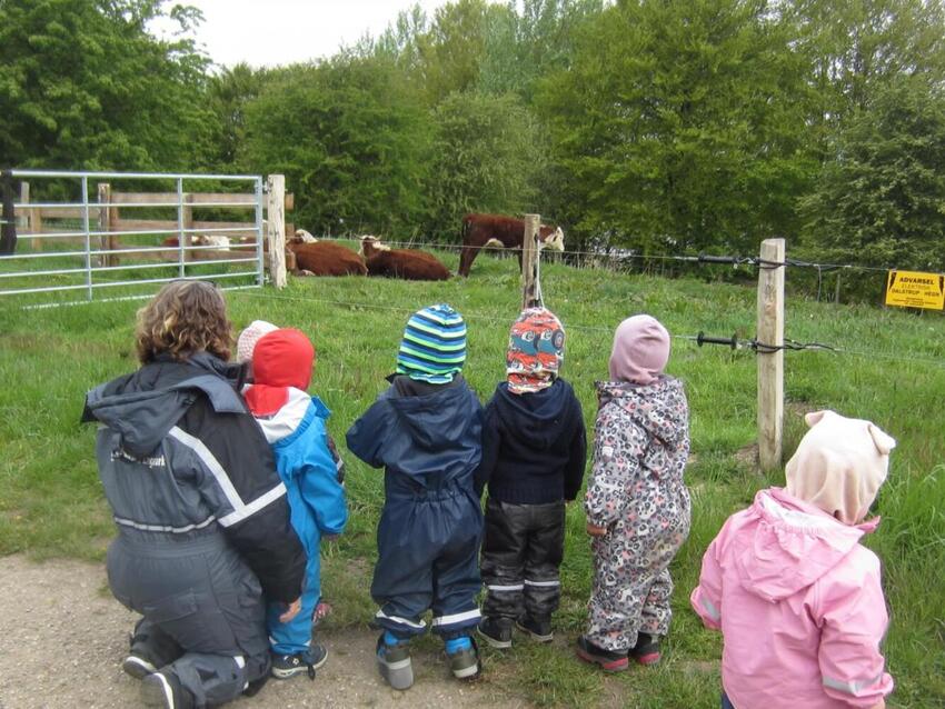Ganske få børn er tilmeldt nødpasning i Horsens Kommune