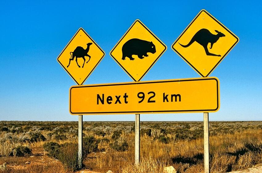 Australien rundt med farmor på 91