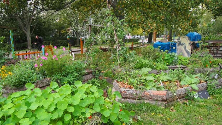 Tilskud til friluftsliv og naturoplevelser fra tipsmidlerne