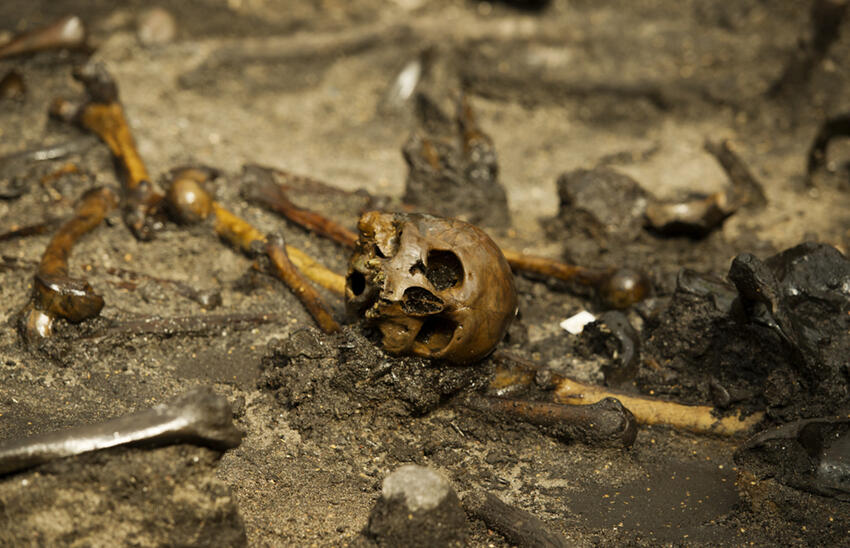 Fund fra Østjylland har bidraget til verdenshistorien