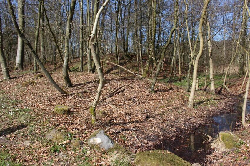 Nyt udflugtsmål i Vinten Skov