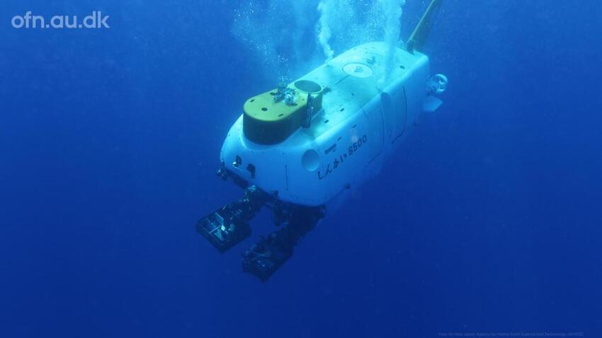 Livestreaming: Dybhavet – fra en ukendt verden