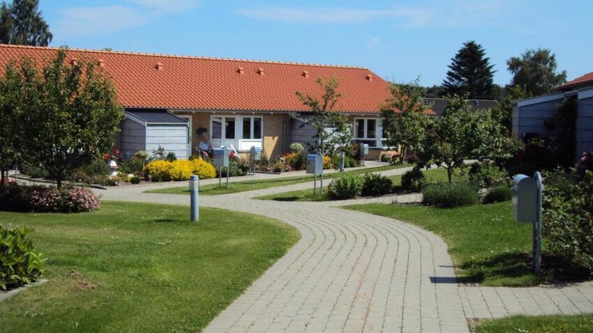 Ældre kan lide at bo sammen