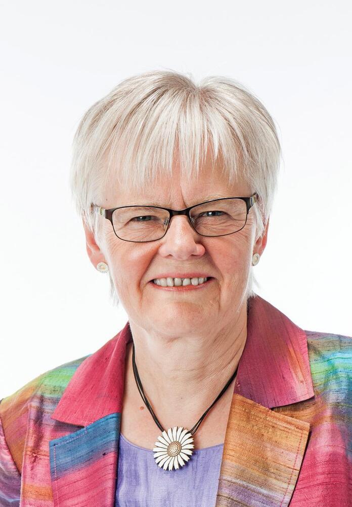 Ældreområdet, budget 2018