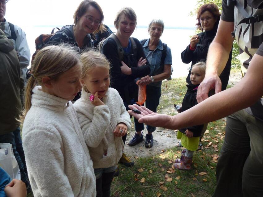 Flere lokale tilbud på Naturens Dag
