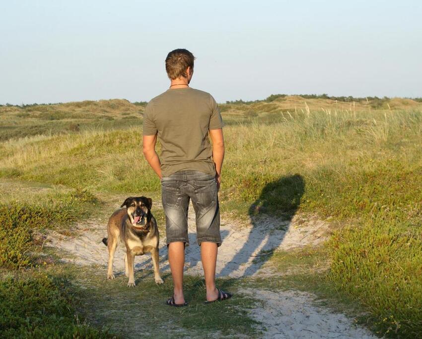 LÆSERBREV: Hvalpetræning på Horsens banegård