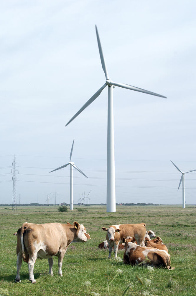 Fem fakta om fremtidens vindmøller