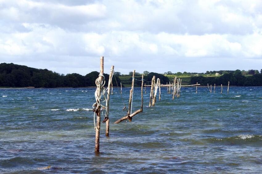 Udflugt! Nu prøver vi det!