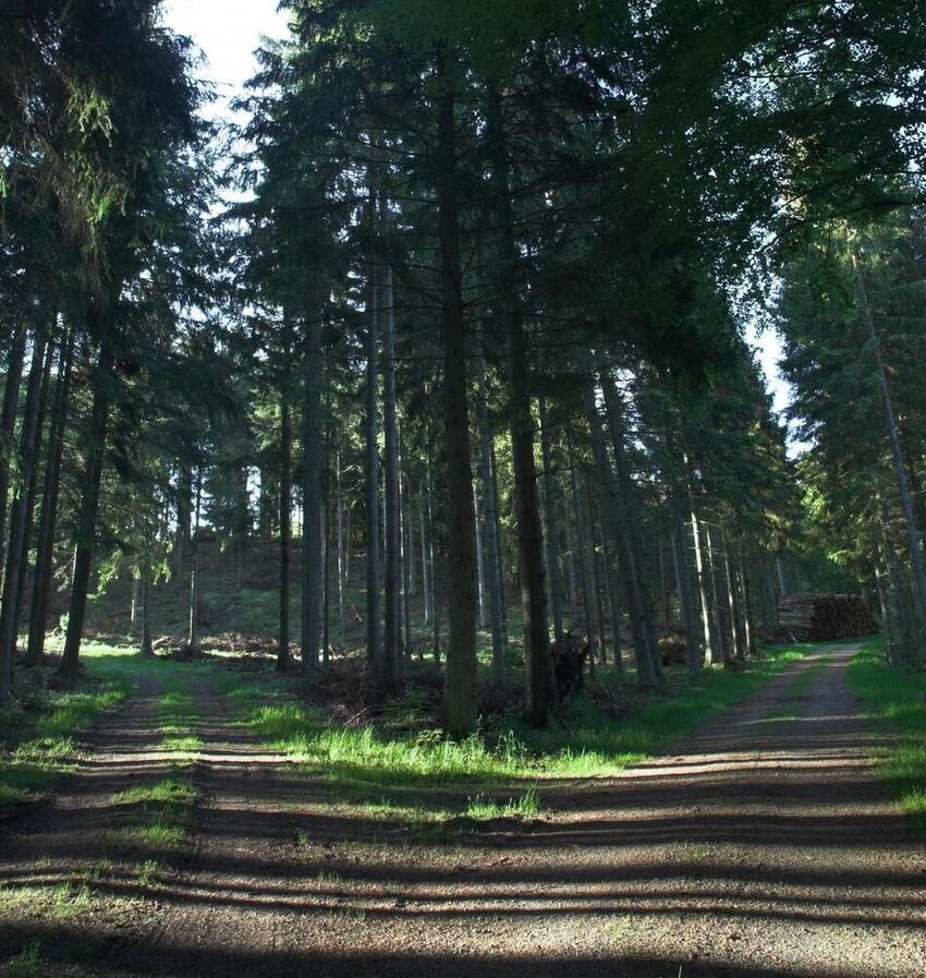 Opfordrer seniorer til gåture