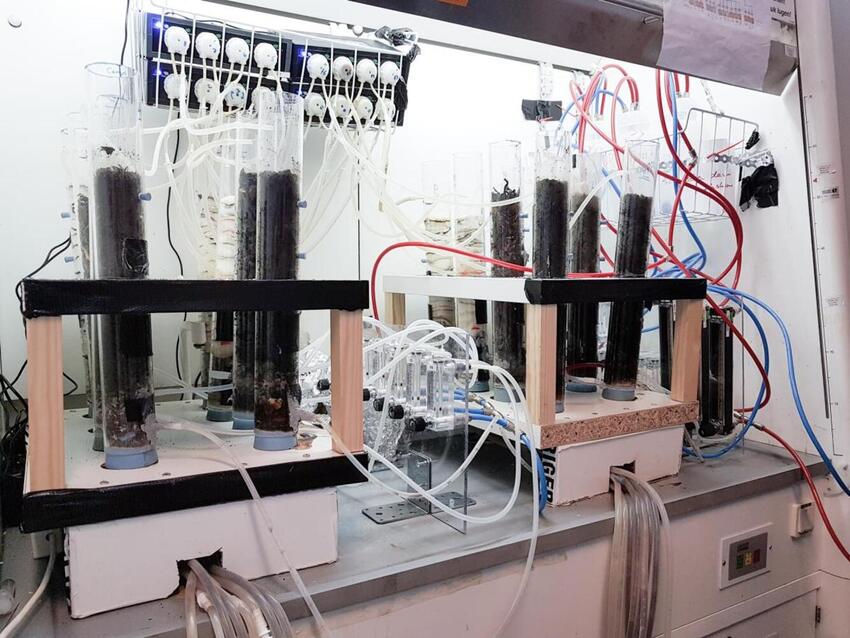 Bakterier kan hjælpe på drivhuseffekten 