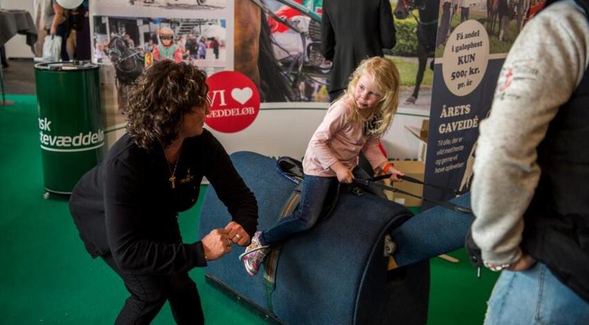 Besøgsrekord og ros til Herning Horse Show