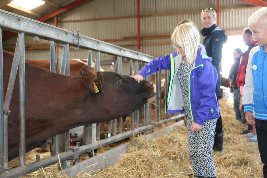 Stor goodwill omkring landbruget