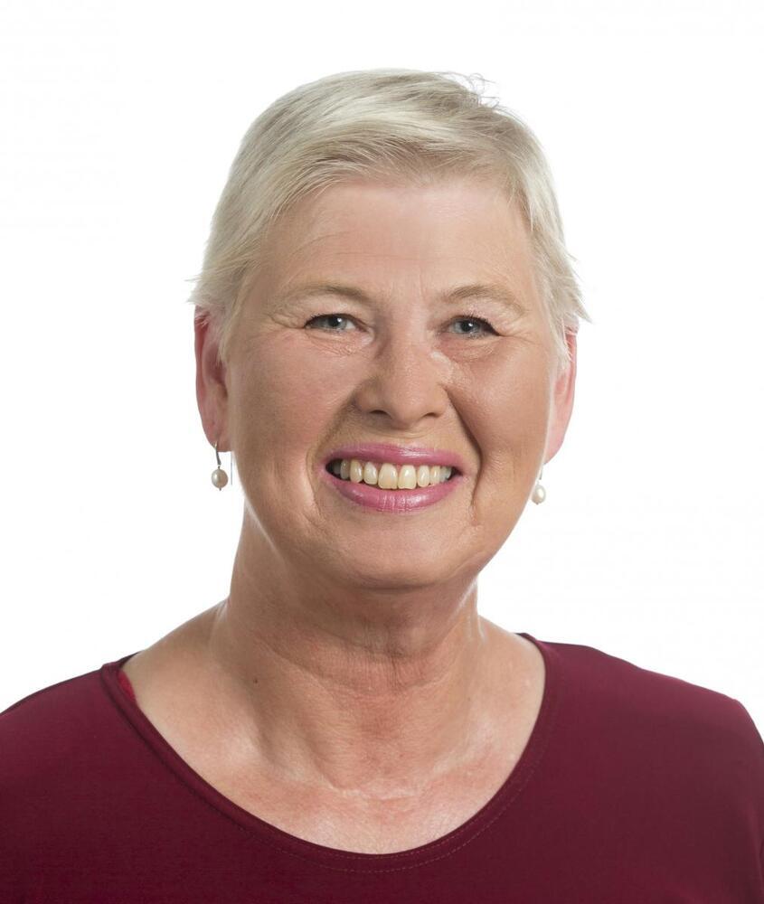 Gaver og løfter om gaver til velfærd i et valgår