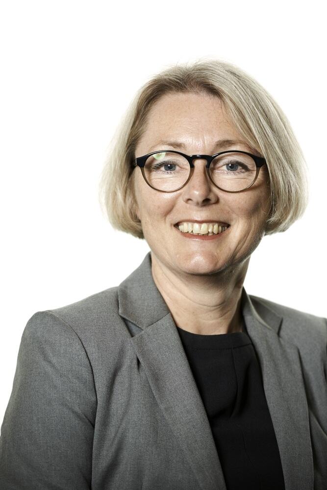 Når ræven vogter gæs 