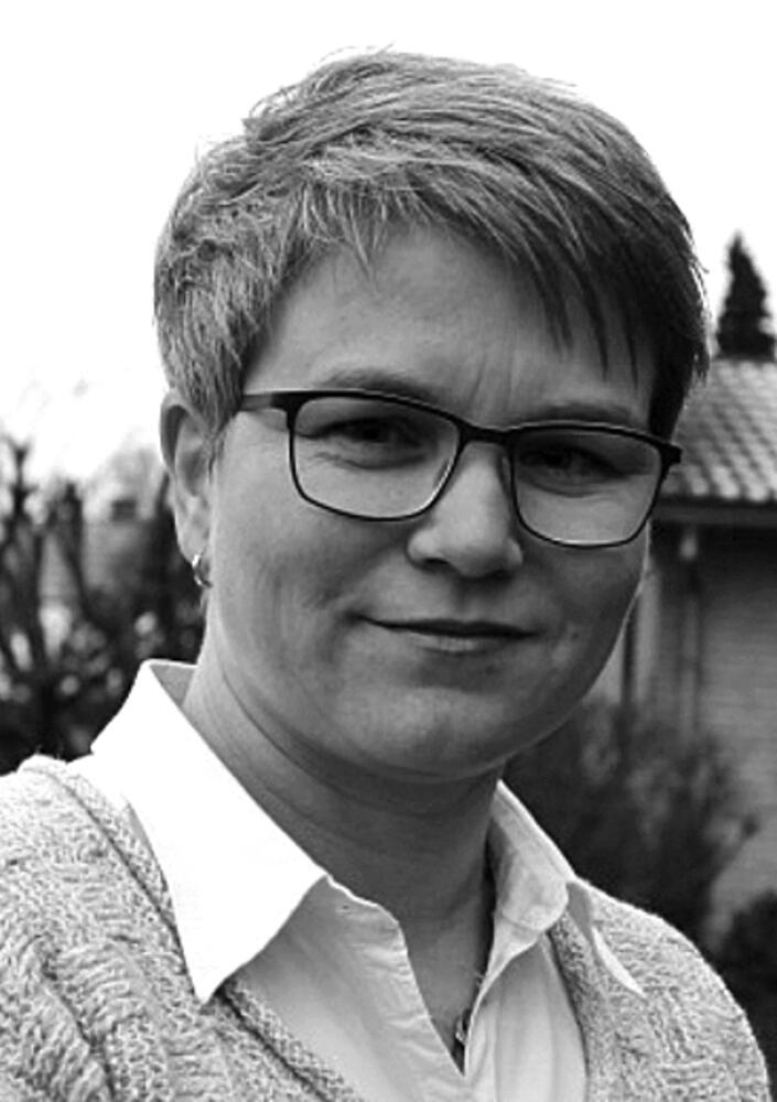 Hvis Horsens Kommune ikke havde væksten, hvad så?