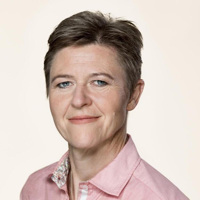 Uambitiøs elbilsaftale bliver uden os