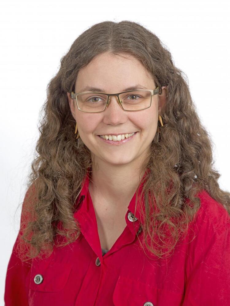 Beskidte metoder og vågne vagthunde