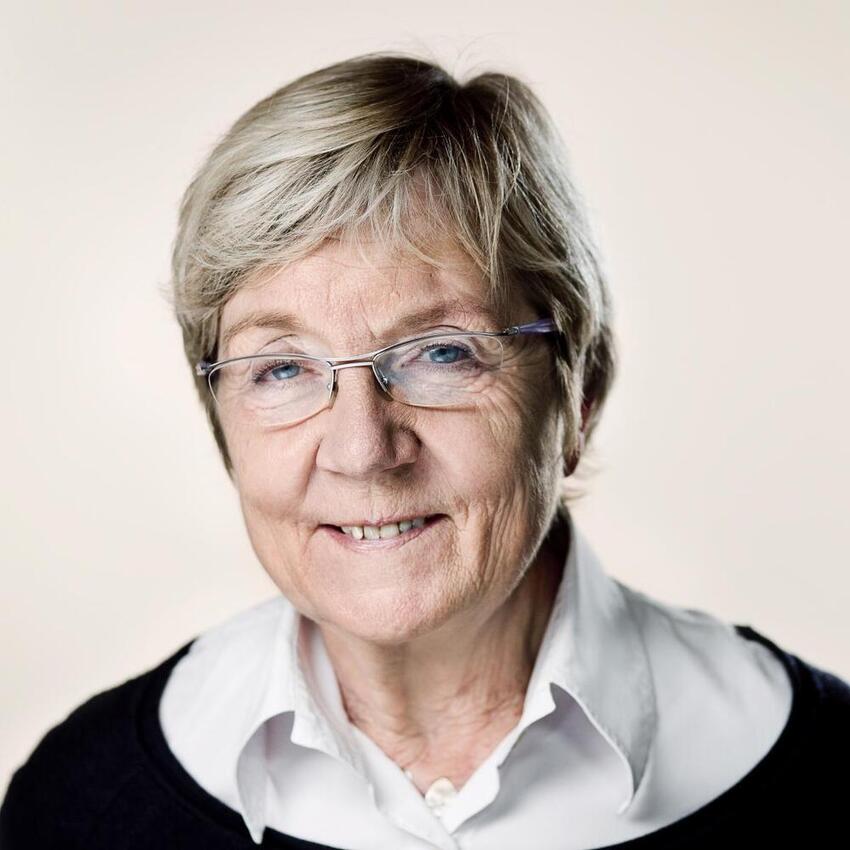 Jelved på Ejer Bavnehøj