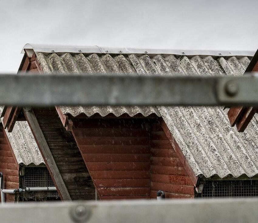 Status på mink-situationen i Region Syddanmark