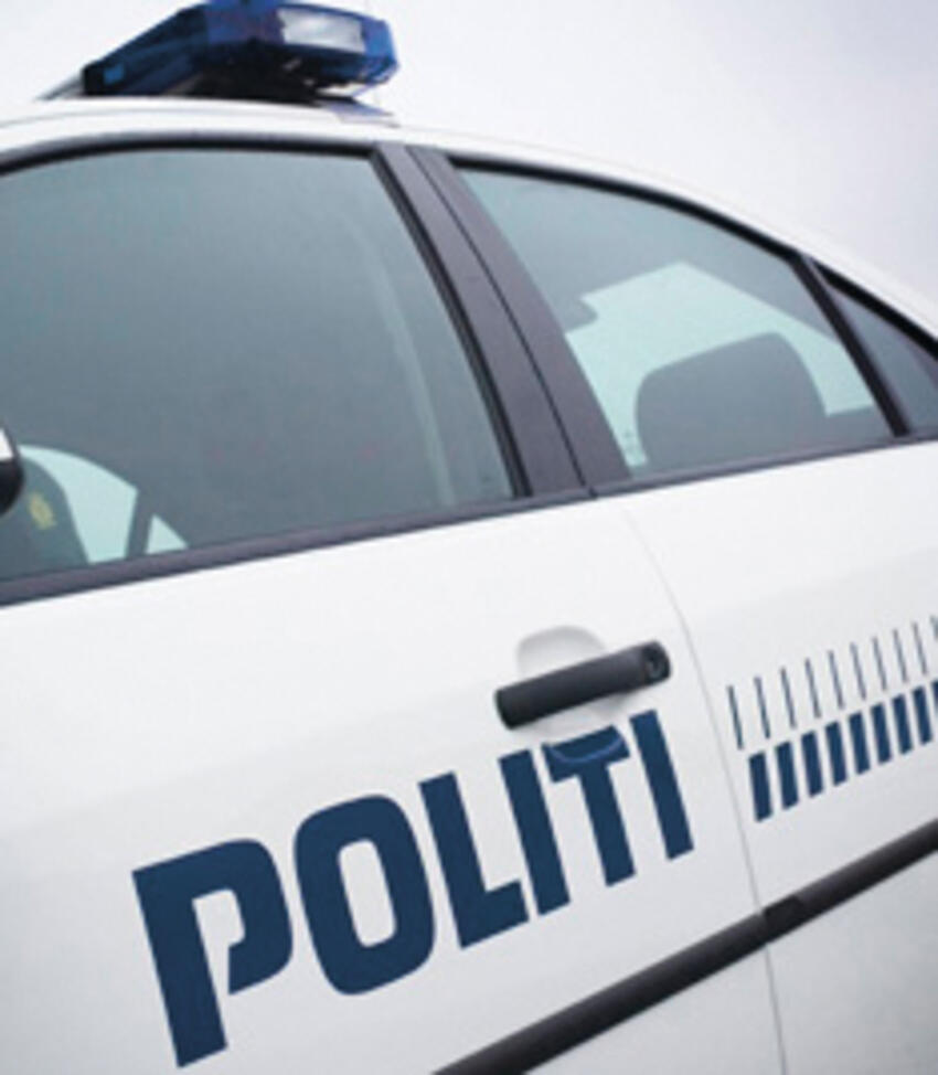 Dømt for tyveri og bedrageri