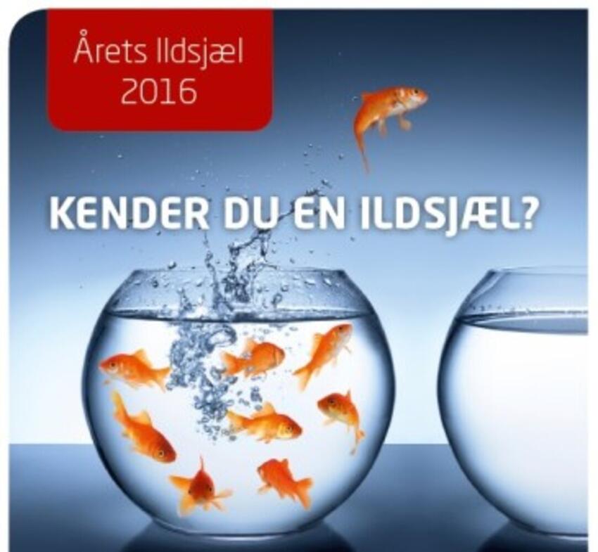 Kender du en ildsjæl som fortjener en anerkendelse?