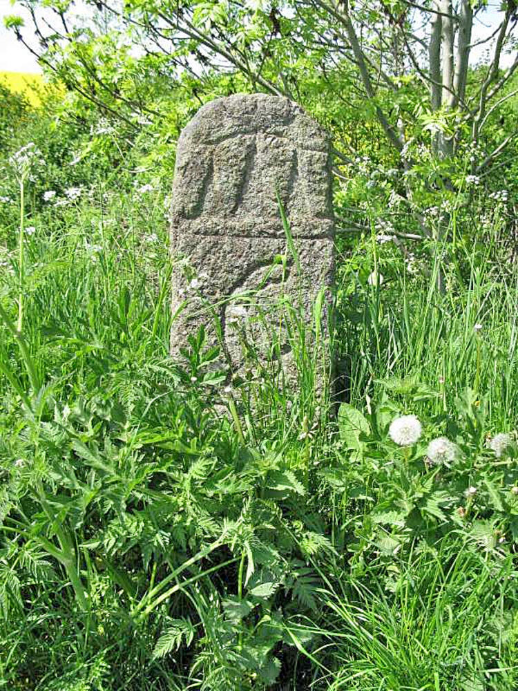 Efterlysning af fredet vildtbanesten