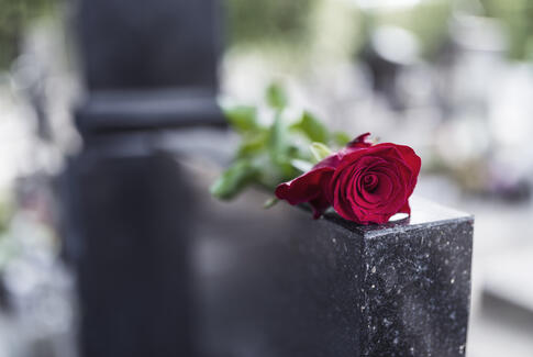 Horsens Kommune takker borgerne