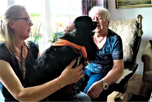 Besøgsforbud på Lindehøj ophævet