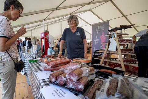 Planlægger at holde Horsens Dyrskue &amp; Madmarked til sommer