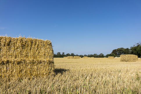 SkyClean har potentiale til at halvere landbrugets klimaaftryk