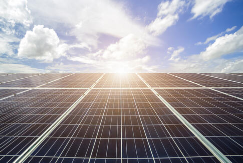 Hvorfor ikke forene landbrug og solenergi på samme areal?