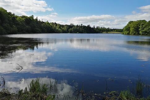 Projekt genopretter området ved Vestbirksøerne